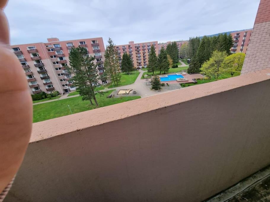 Ferienwohnung Altenau Im Harz, Hunde 외부 사진