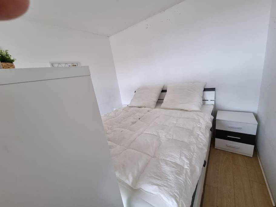 Ferienwohnung Altenau Im Harz, Hunde 외부 사진
